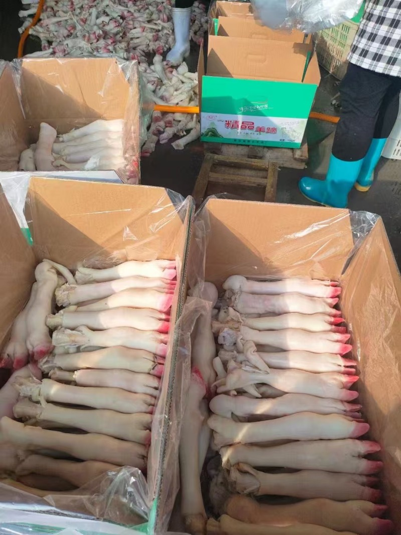 羊蹄纯手工水褪羊蹄源头厂家量大从优