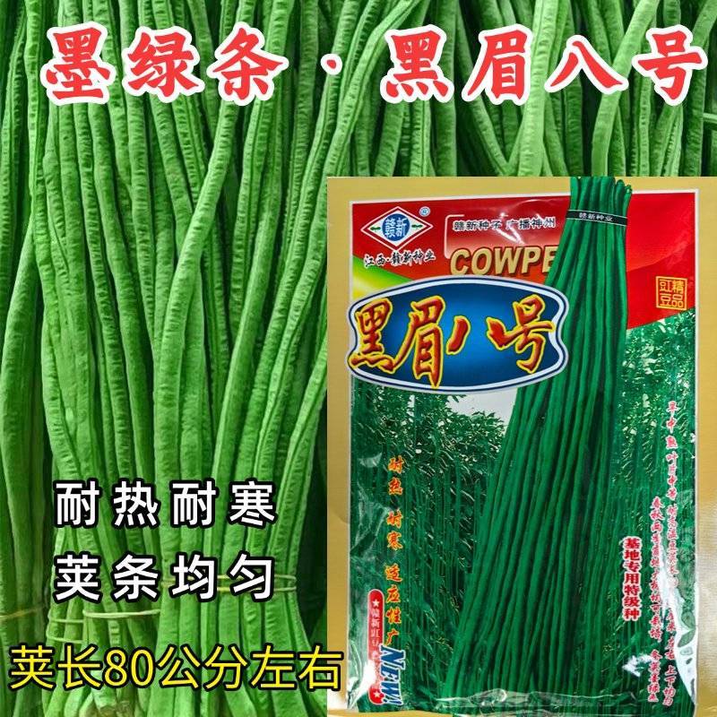黑眉八号豇豆种子墨绿深绿长豆角早熟耐热耐寒春夏蔬菜蔬菜种