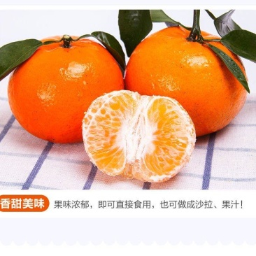 新鲜现摘沃柑皮薄肉多，电商一件代发