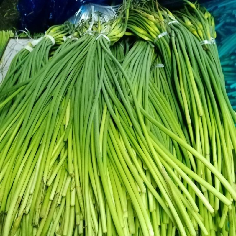 金乡优质蒜苔质地好，品种优，口感好，鲜嫩可口，营养丰富