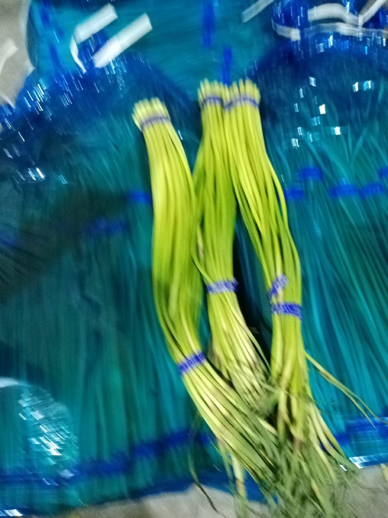 金乡优质蒜苔质地好，品种优，口感好，鲜嫩可口，营养丰富