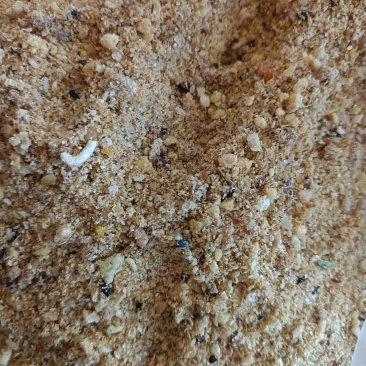 食品下渣月饼饼干方便面高油脂高蛋白，养殖添加育肥。