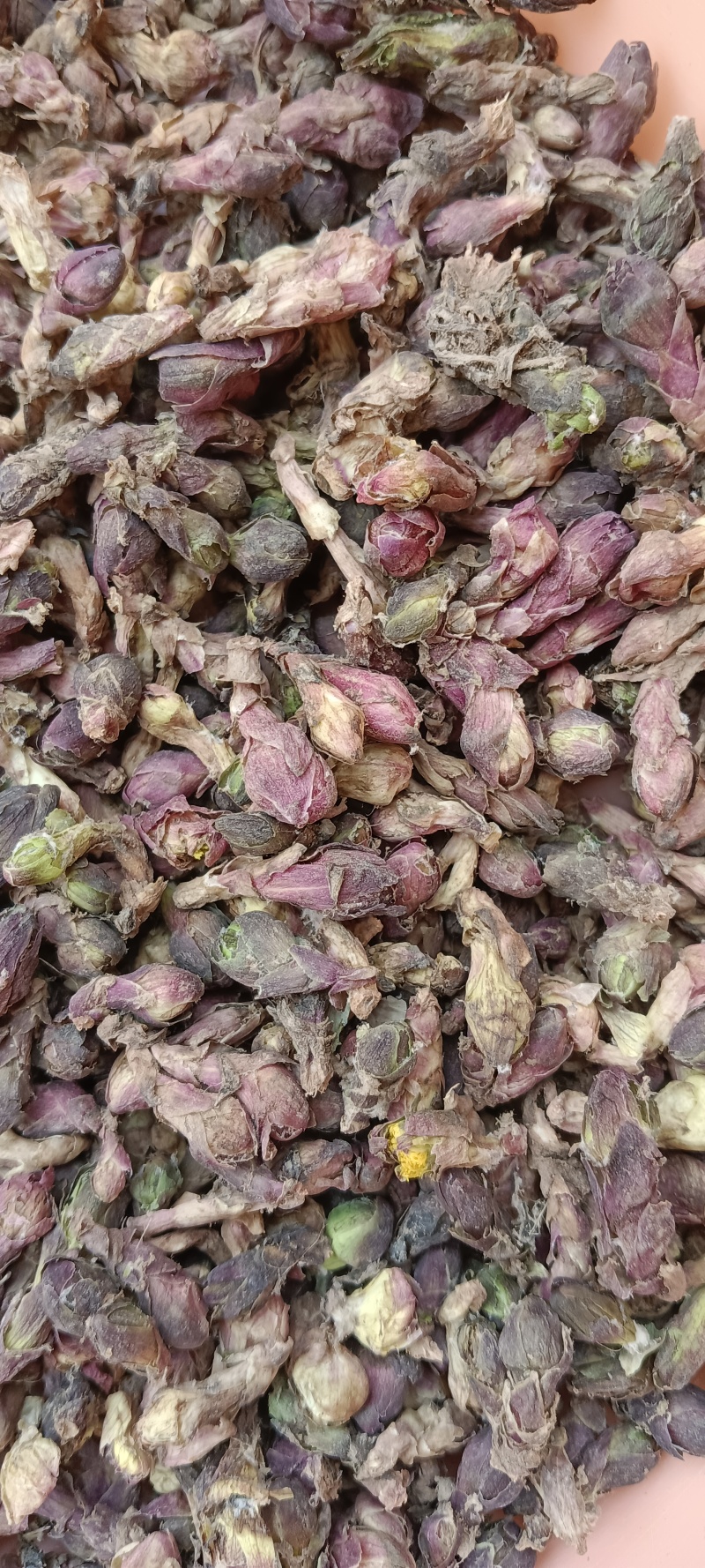 甘肃精品款冬花产地直销量大从优