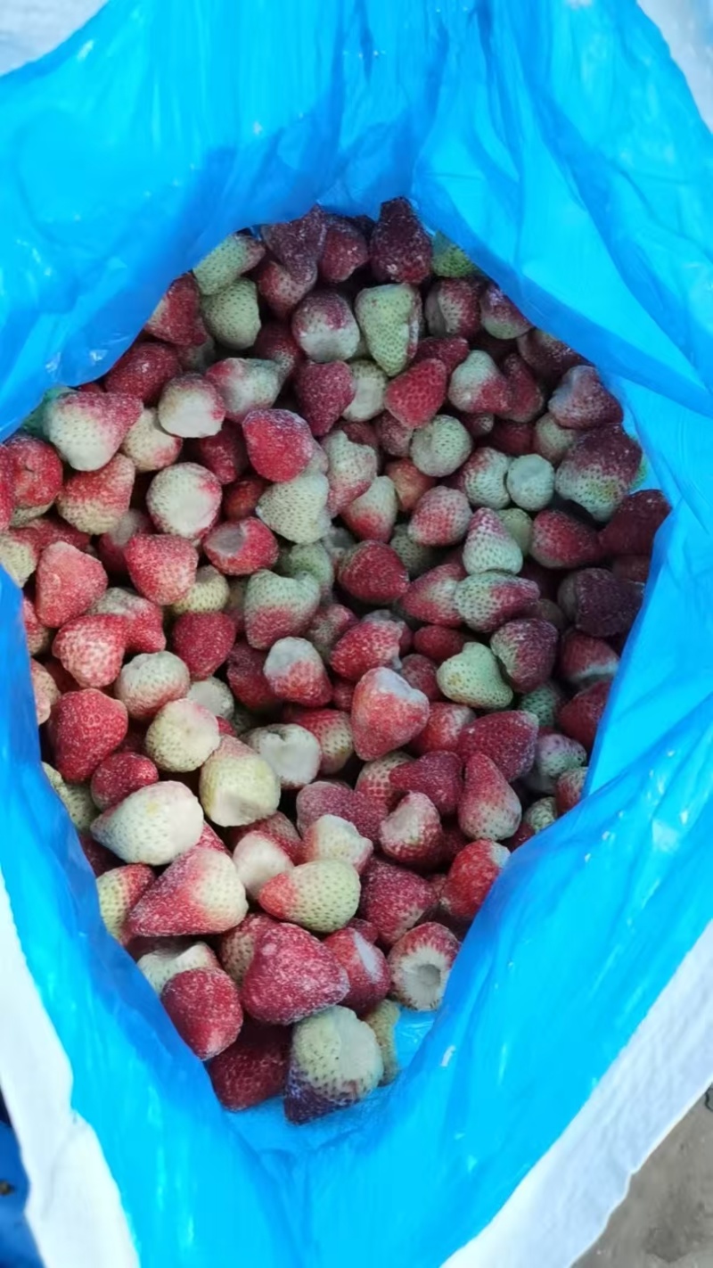 草莓工厂果，加工果