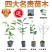 名贵正宗海南沉香树苗金丝楠木树苗海南黄花梨树苗台湾小叶紫