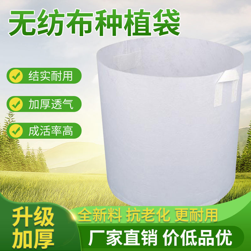 无纺布种植育苗袋子园林营养袋容器绿化加厚苗木植物种树果苗