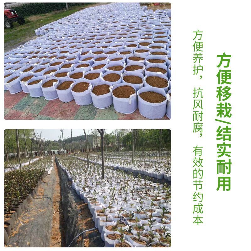 无纺布种植育苗袋子园林营养袋容器绿化加厚苗木植物种树果苗