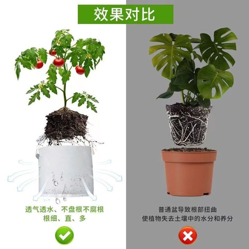无纺布种植育苗袋子园林营养袋容器绿化加厚苗木植物种树果苗