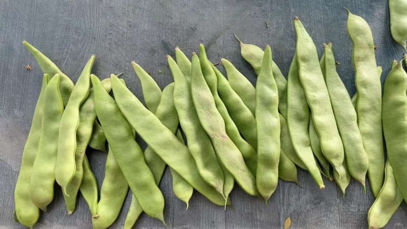 广东一点红油豆角，代办，一件代发，团购，电商