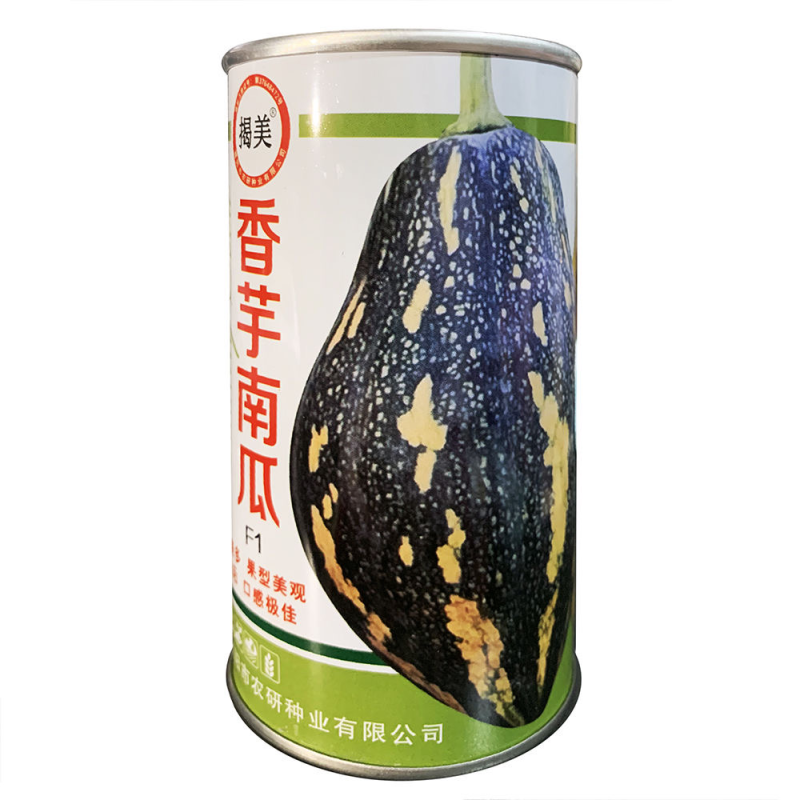 香芋南瓜种子捷美杂交一代早熟品种南瓜品种种子
