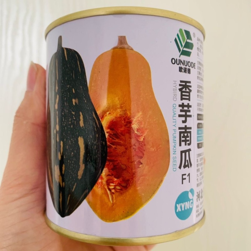 香芋南瓜种子捷美杂交一代早熟品种南瓜品种种子