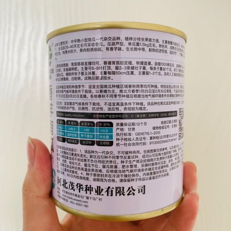 香芋南瓜种子捷美杂交一代早熟品种南瓜品种种子