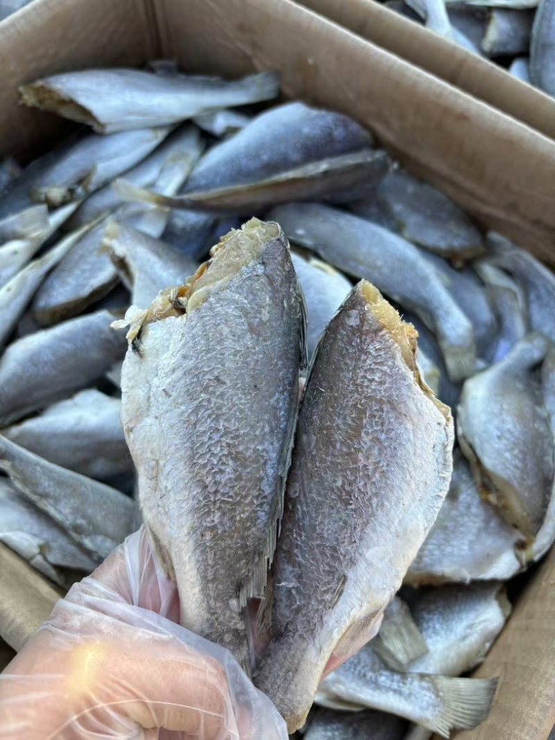 黄花鱼去头去皮去内脏煎炸炖都好吃得鱼代发全国市场价格优惠