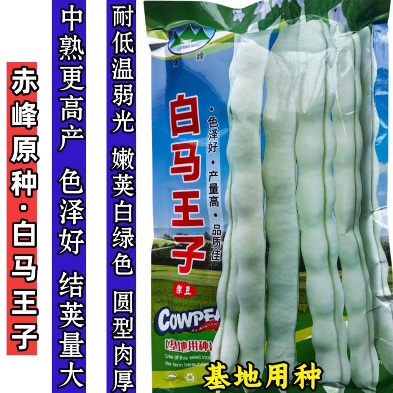 白马王子四季豆种子无筋白芸豆中熟耐低温无筋春秋长豆角种子