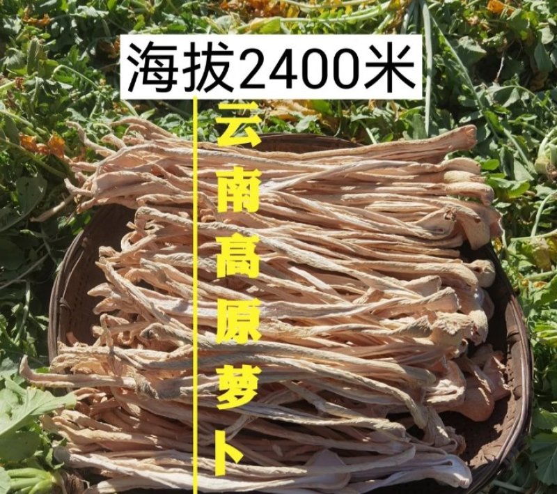 祥云县特产新鲜萝卜干，天然无添加，口感脆爽，健康美味，