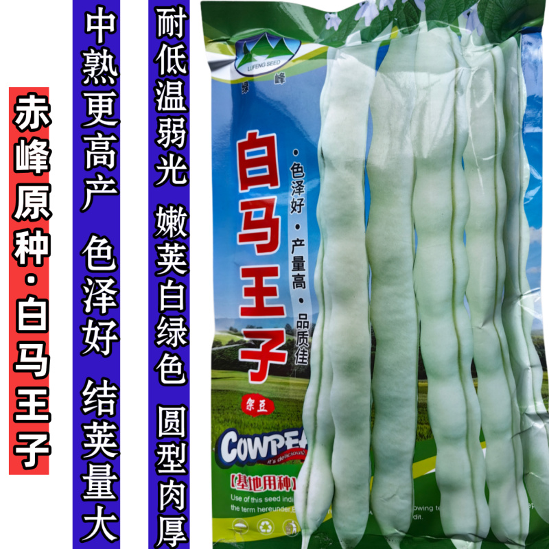 白马王子四季豆种子无筋白芸豆中熟耐低温无筋春秋长豆角种子