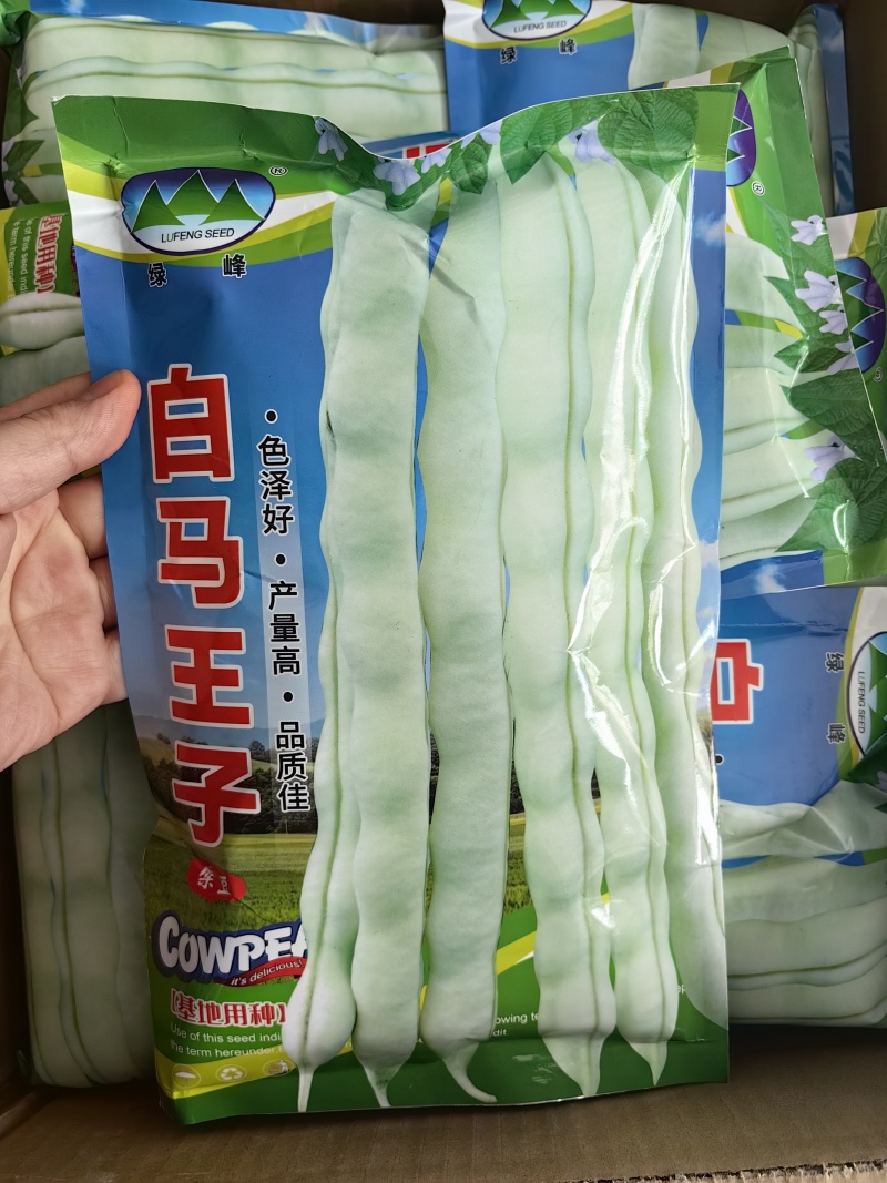 白马王子四季豆种子无筋白芸豆中熟耐低温无筋春秋长豆角种子