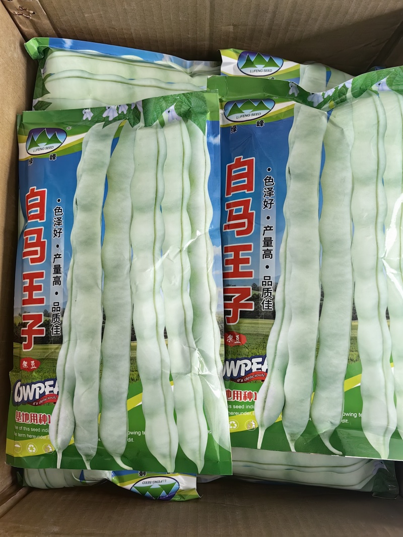 白马王子四季豆种子无筋白芸豆中熟耐低温无筋春秋长豆角种子