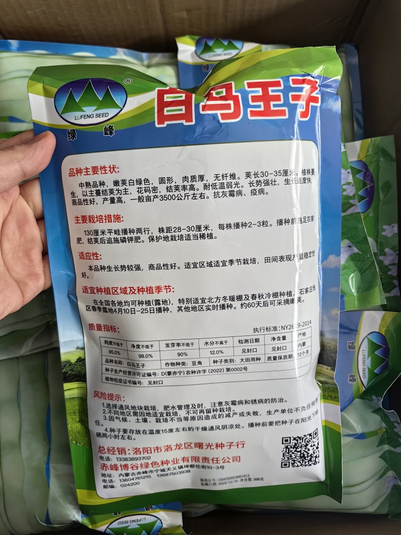 白马王子四季豆种子无筋白芸豆中熟耐低温无筋春秋长豆角种子