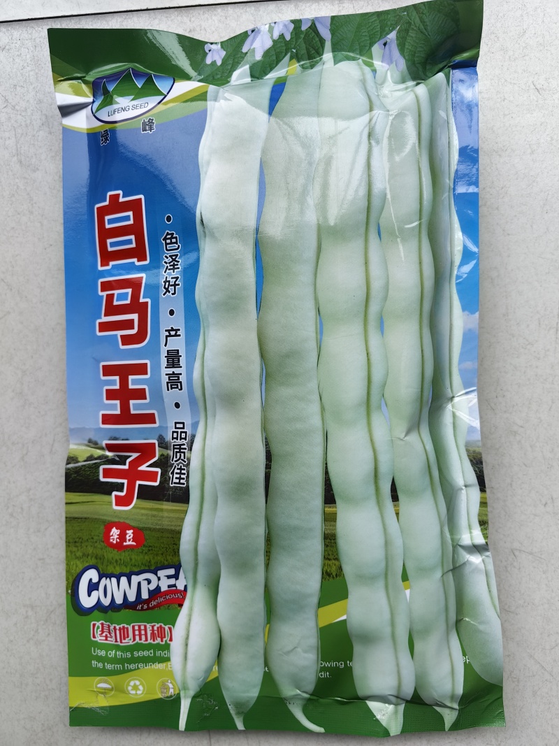 白马王子四季豆种子无筋白芸豆中熟耐低温无筋春秋长豆角种子