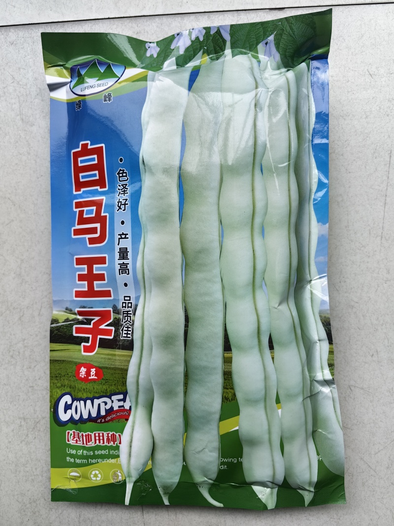 白马王子四季豆种子无筋白芸豆中熟耐低温无筋春秋长豆角种子