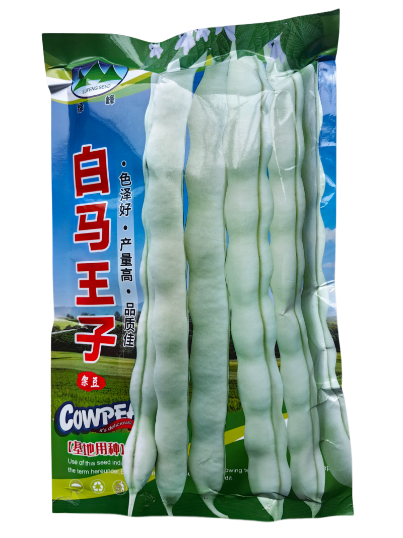 白马王子四季豆种子无筋白芸豆中熟耐低温无筋春秋长豆角种子