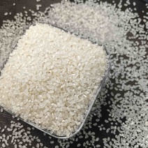 东北黑龙江佳木斯新米珍珠米