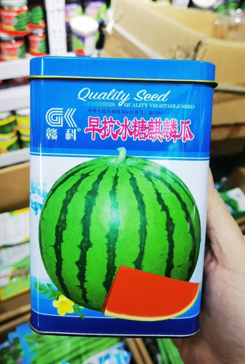 冰糖麒麟西瓜种子早熟瓤红质脆汁多味甜口感好