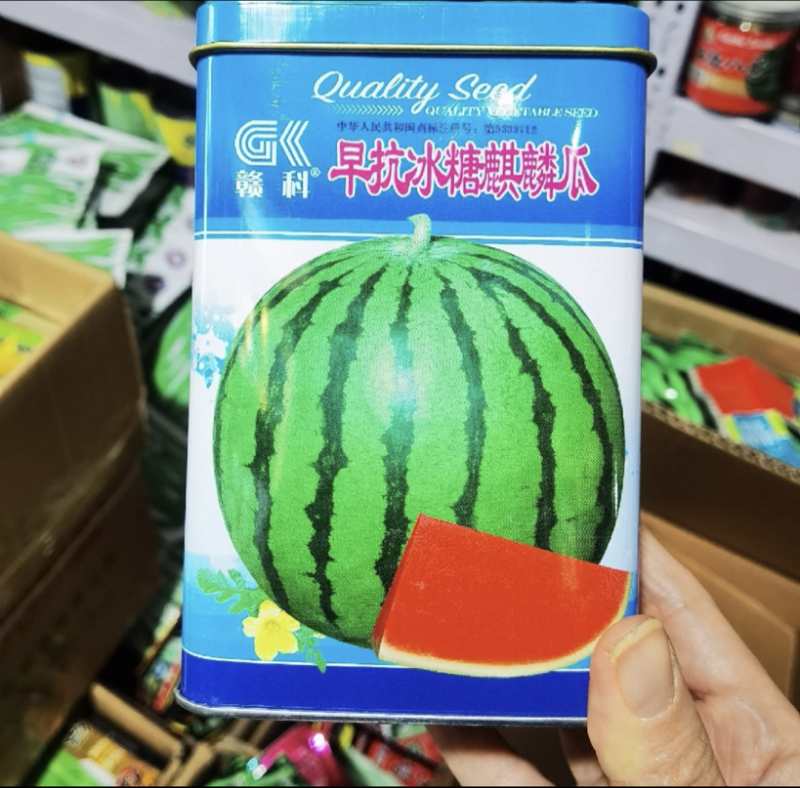 冰糖麒麟西瓜种子早熟瓤红质脆汁多味甜口感好