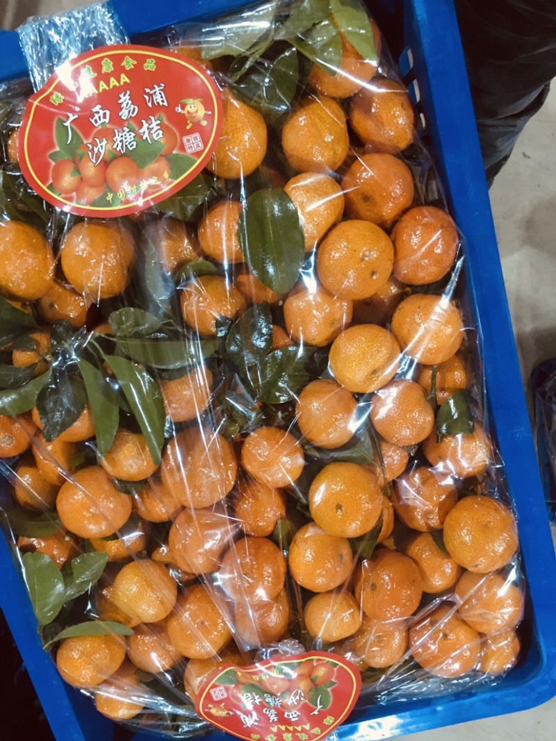 正宗武鸣沙糖桔色泽好口感正承接商超电商规格齐全代发