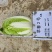 早春2号白菜种子外叶浓绿内芯黄巴单球重6斤左右温度13度