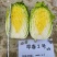 早春2号白菜种子外叶浓绿内芯黄巴单球重6斤左右温度13度