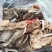 纯干/免洗/无杂质的羊毛肚/全国各地冷链车发货/一件也是