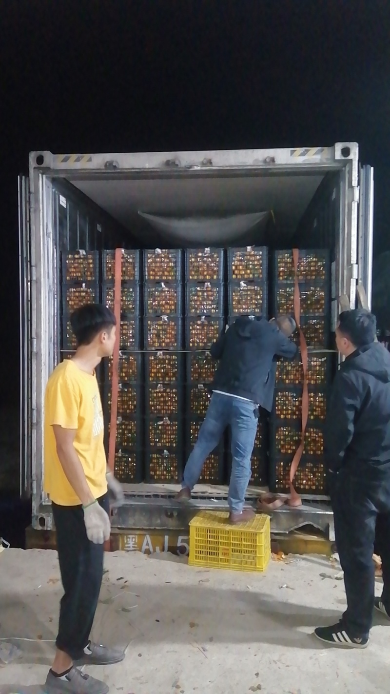 广西西林砂糖橘基地大量上市电商社区批发超市，欢迎采购。