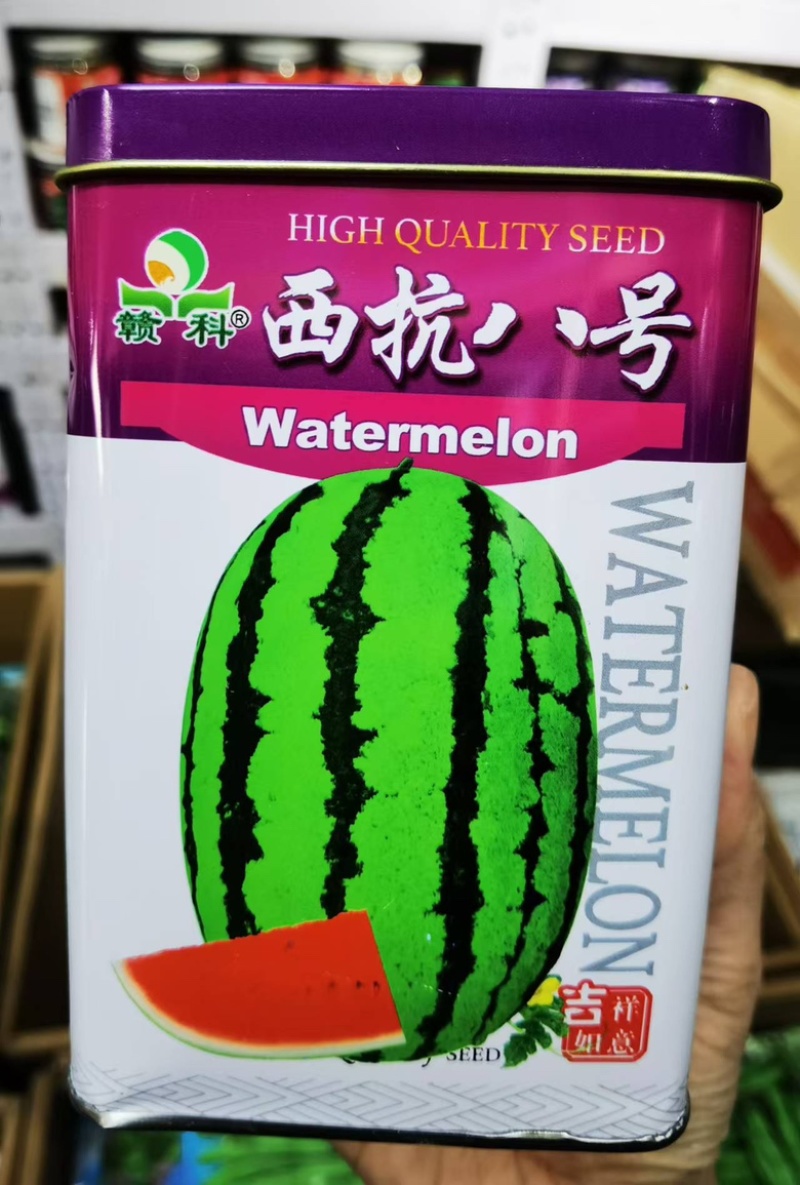 西抗八号西瓜种子中熟品种果实椭圆形绿花皮果肉红色