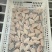 30以下小翅中现货16吨