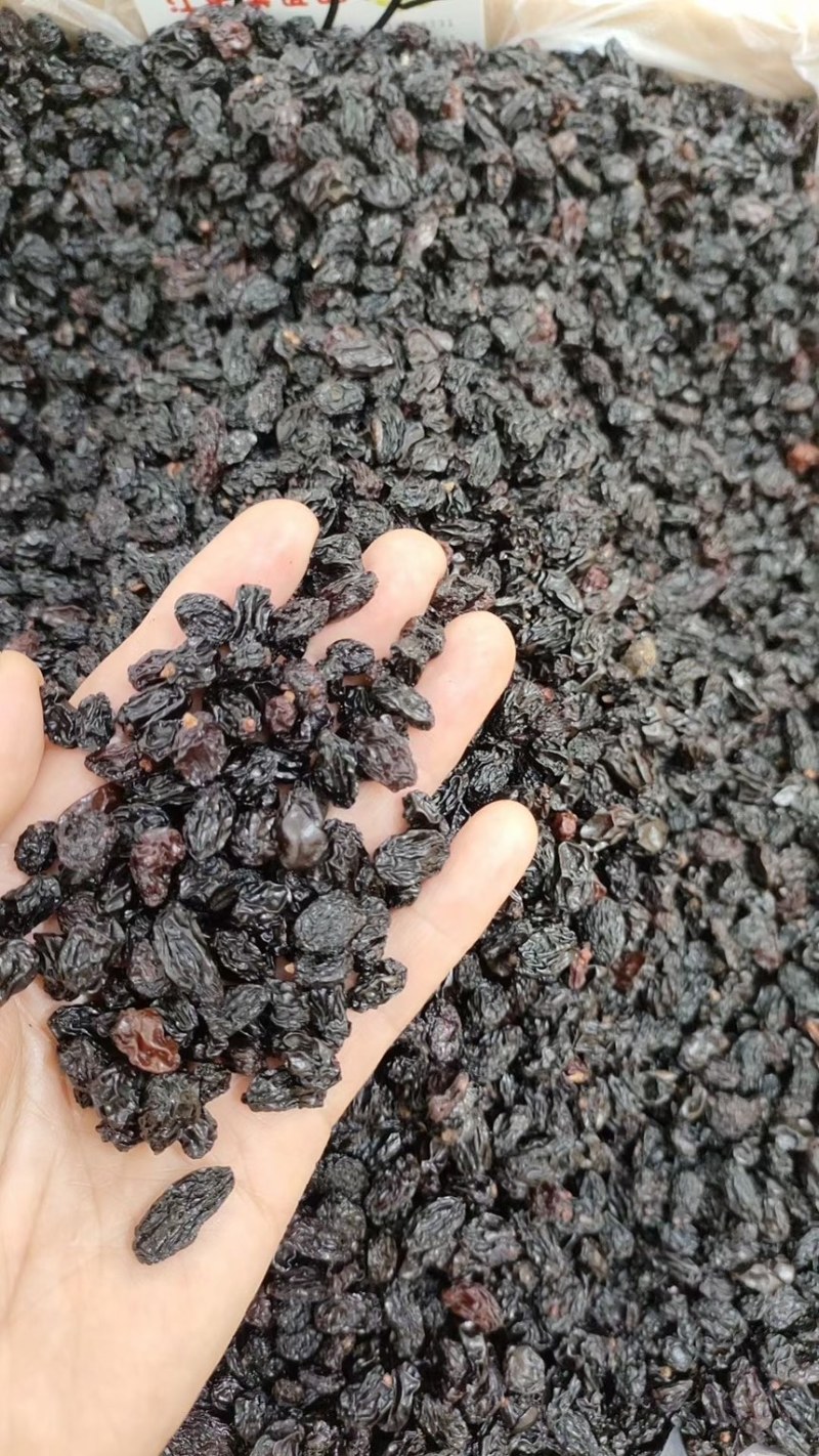 蓝莓干批发货好价低保质量对接批市场也可对接电商