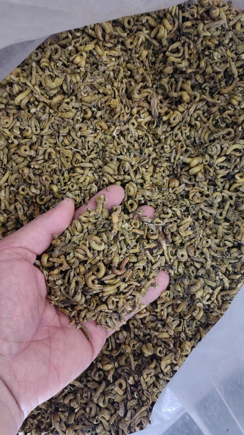 铁皮石斛剪口边角料