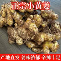云南小黄姜、二黄姜。市场姜，烤姜批发零售。50斤/件