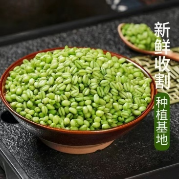 河南青麦仁产地直发货源充足可视频看货欢迎致电