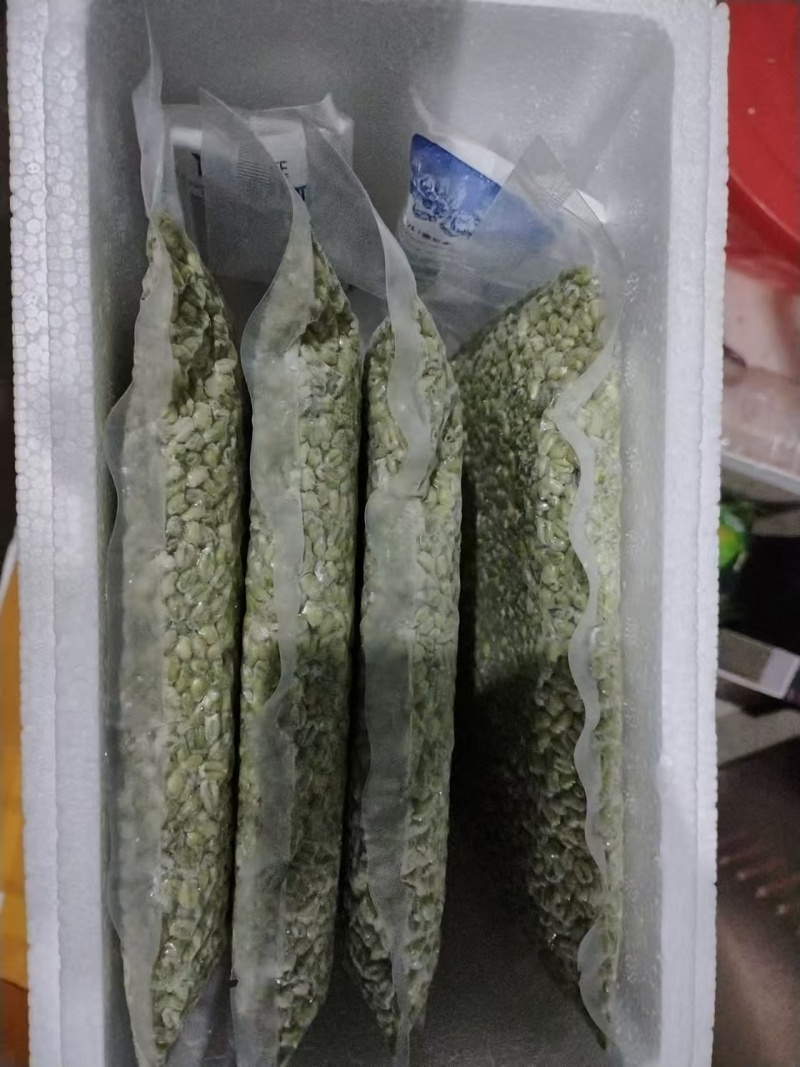 河南青麦仁产地直发货源充足可视频看货欢迎致电