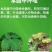 盈辉40%苯醚甲环唑香蕉叶斑病农药杀菌剂正品