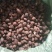 今年的草果