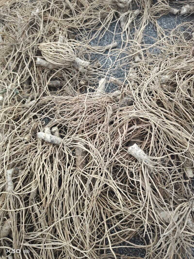 广西钦州浦北野生干货地胆头，我只卖好品质。