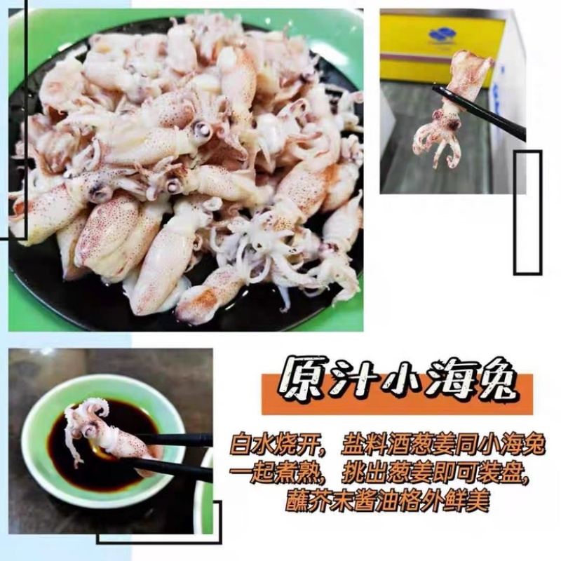 海兔水兔笔管籽乌冰鲜冷冻海猫新鲜冷冻海鲜水产批发