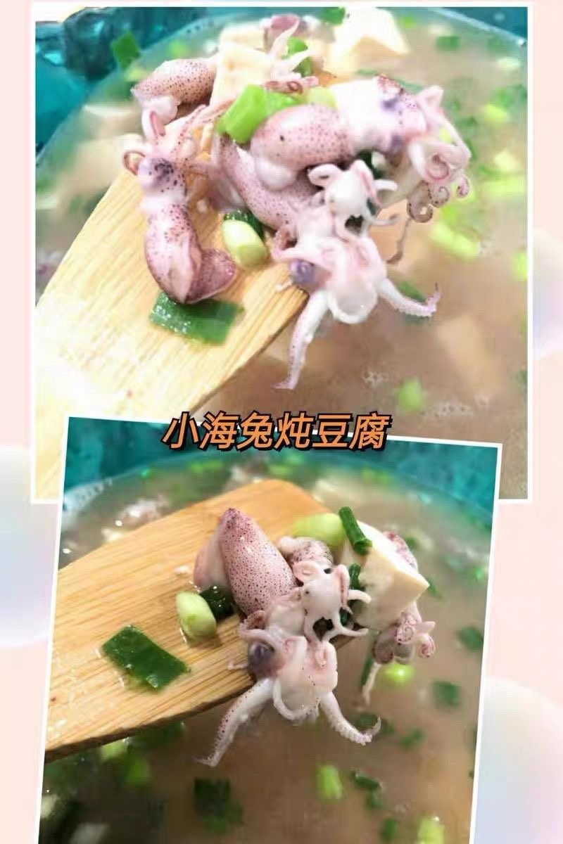 海兔水兔笔管籽乌冰鲜冷冻海猫新鲜冷冻海鲜水产批发