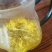 金丝皇菊