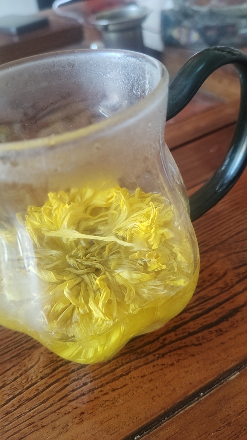 金丝皇菊
