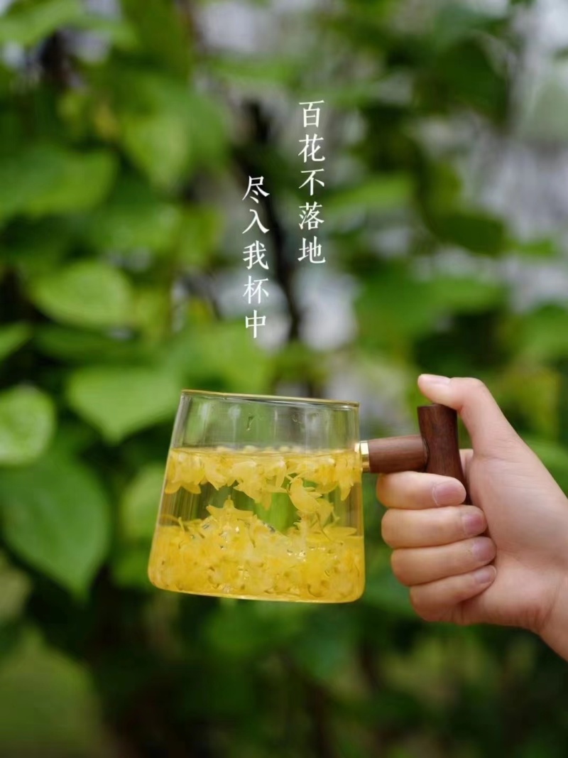 正宗霍山石斛(米斛花）