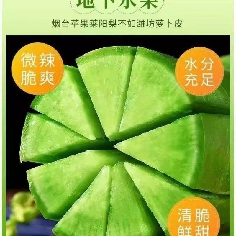 水果萝卜新鲜生吃甜脆青萝卜脆非胡萝卜萝卜当季蔬菜批发